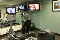 Holiday Inn Express & Suites FRESNO (RIVER PARK) HWY 41 by IHG - Gym