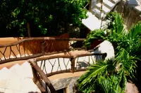 Cabañas Telayú Hotels in Mazunte