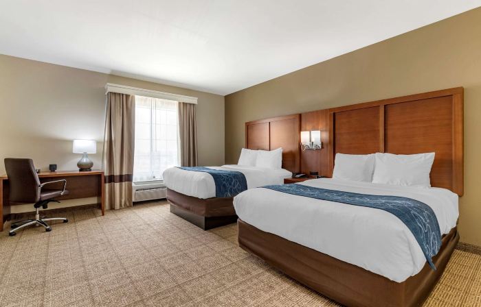 Comfort Suites Buda - Austin South
