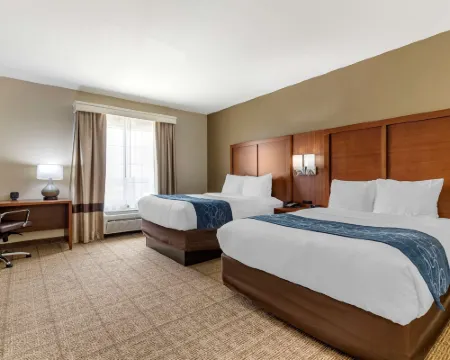 Comfort Suites Buda - Austin South Hotels in Buda