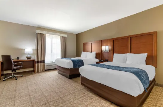 Comfort Suites Buda - Austin South Hotels in Hays County