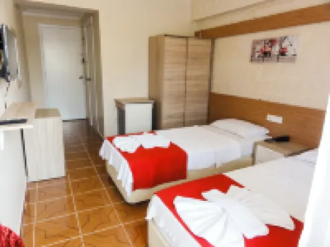 Altinersan Hotel Hotels in Didim