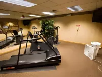 Country Inn & Suites by Radisson, Dundee, MI - Gym