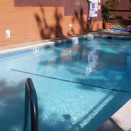 The Gold Lodge