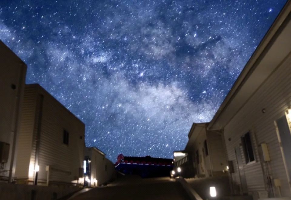 정글 호텔 파이누마야