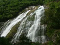Yakushima Pension Ichigoichie Hotels in Yakushima