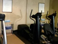 MUNCIE PLACE HOTEL & SUITES by IHG - gimnasio