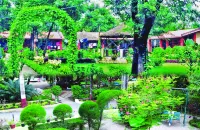 Rainbow Safari Resort Hotels in Sauraha