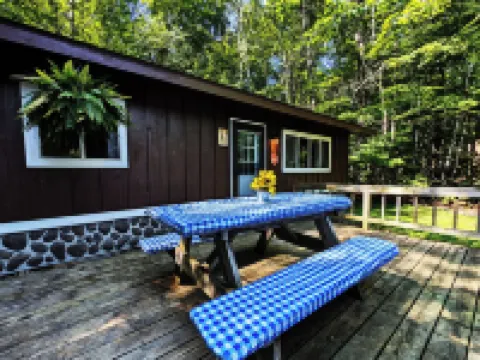 Amenities & Resort Access Included, Cabin 6 Hotels in Phelps
