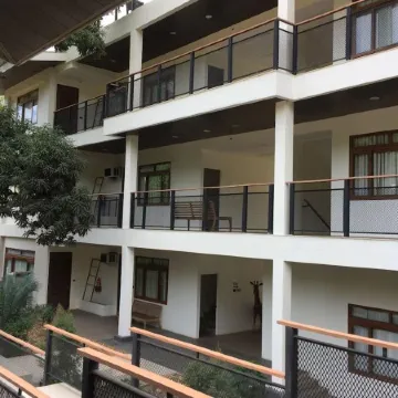 The Funny Lion - Coron