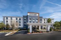 SpringHill Suites Gainesville Hotels near Bass Pro Shops