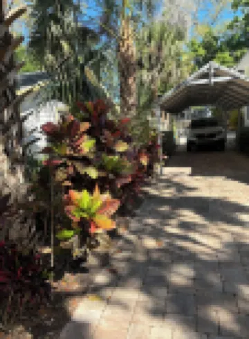 Cozy Guesthouse, Walk to Historic Downtown, Shop & Dine.