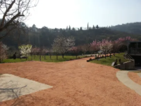 Ancient Grape Dryer in Valpolicella