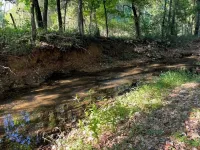 Tranquil cabin with AC and 2 creeks on secluded 5 acres with WiFi