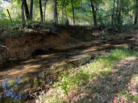 Tranquil cabin with AC and 2 creeks on secluded 5 acres with WiFi