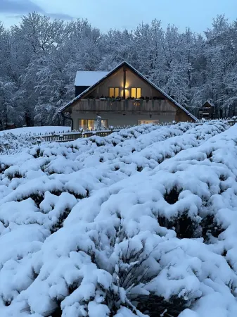 Loft Naturalpina Dolomites
