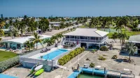 Watch dolphins play in Shelter Cove while swimming in our oversized  pool