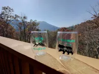 Family Friendly cabin with Mountain views