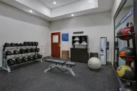 Hampton Inn & Suites Dallas-DeSoto - Gym