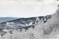 Summer Fun Includes Free Outdoor Pool