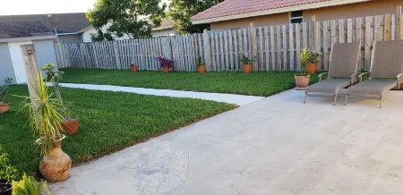 Beautiful Paradise in Wellington