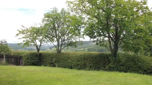 Smithy Cottage Licence AS00607 Hotel a Strathdon