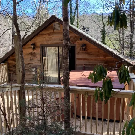 HootOwl Cabin Mountains, Trails and Huge Hot Tub under the Stars!
