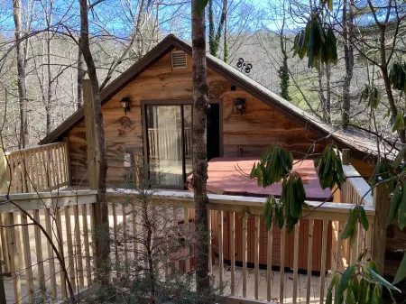 HootOwl Cabin Mountains, Trails and Huge Hot Tub under the Stars!