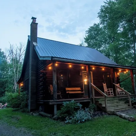 Cozy Cabin tucked in the woods. Pet-Friendly! 7 minutes from Ellicotville!