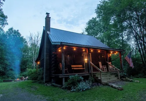 Cozy Cabin tucked in the woods. Pet-Friendly! 7 minutes from Ellicotville!
