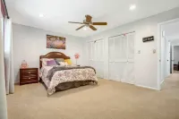 Luxurious Tree House