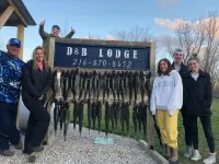 newly remodeled cabin style cottage, close to public boat ramps, and beaches .