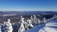 Snowbrook: Ski in/out access with pool, hot-tub, and sauna for après ski!