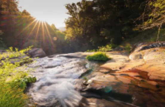 The Most Romantic Creekside Cabin - with Hot Tub and Privacy