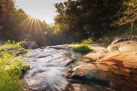 The Most Romantic Creekside Cabin - with Hot Tub and Privacy