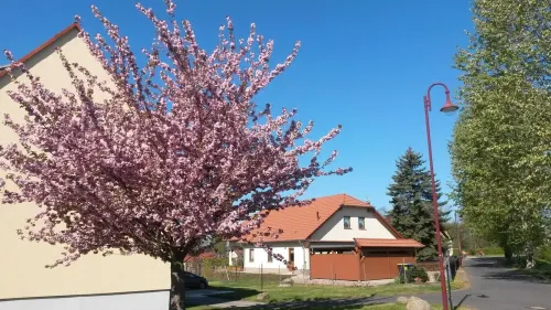 Vacation apartment Störmthaler See