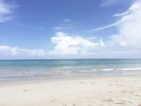 : Sandy Feet Retreat: Walk to the Beach! :