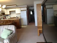 Bring the Family and dog to the Beach