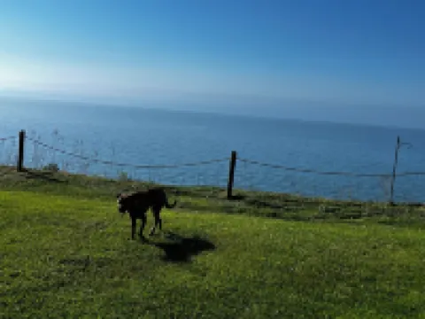 Lake front updated cabin-close to everything!!