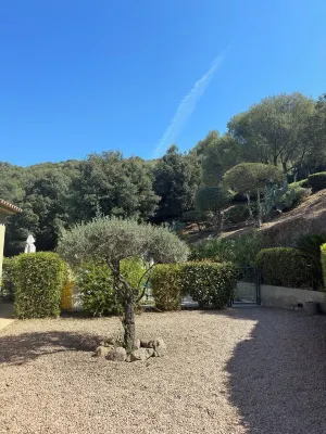 Villa with pool, between olive trees and sea - fantastic view!