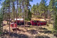 Cozy cabin in the Black Hills. Pet friendly!