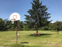 Dog-Friendly large rural Estate just outside Alex Bay with hot tub and pool!