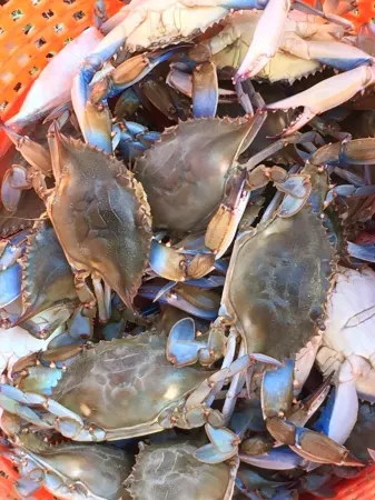 Exceptional Location - New Luxury Villa Steps Away from the Beach and Pool