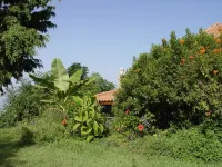 Apartment in country house with tropical garden and pool 2 bedrooms