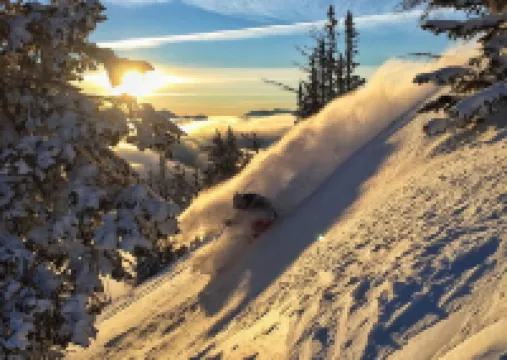 Bright, Modern Loft. 5 Miles to Ski Resort, National Park, or Downtown Jackson Hotels in Wilson