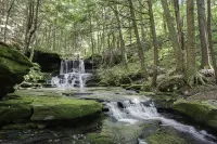 Secluded modern log cabin with picturesque private water fall on 12 acres!