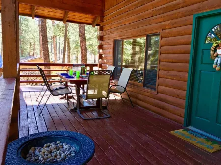 Log Cabin in tall pines, backs to forest, great hiking, star-gazing, biking!