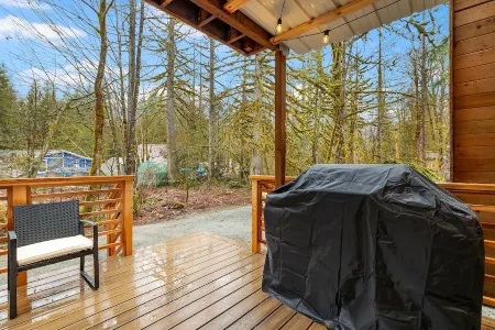 Wild Dog Cabin located on Highway 2 - Only 25 min to Steven's Pass!