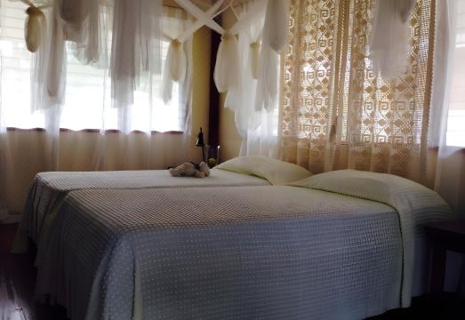 파밀라칸 바다거북