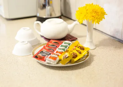 The Traveler's Apartment Hotels in 